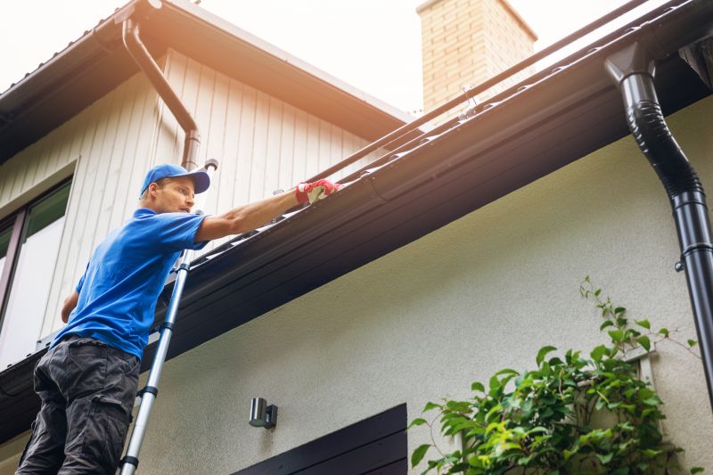 Gutter cleaning and maintenance